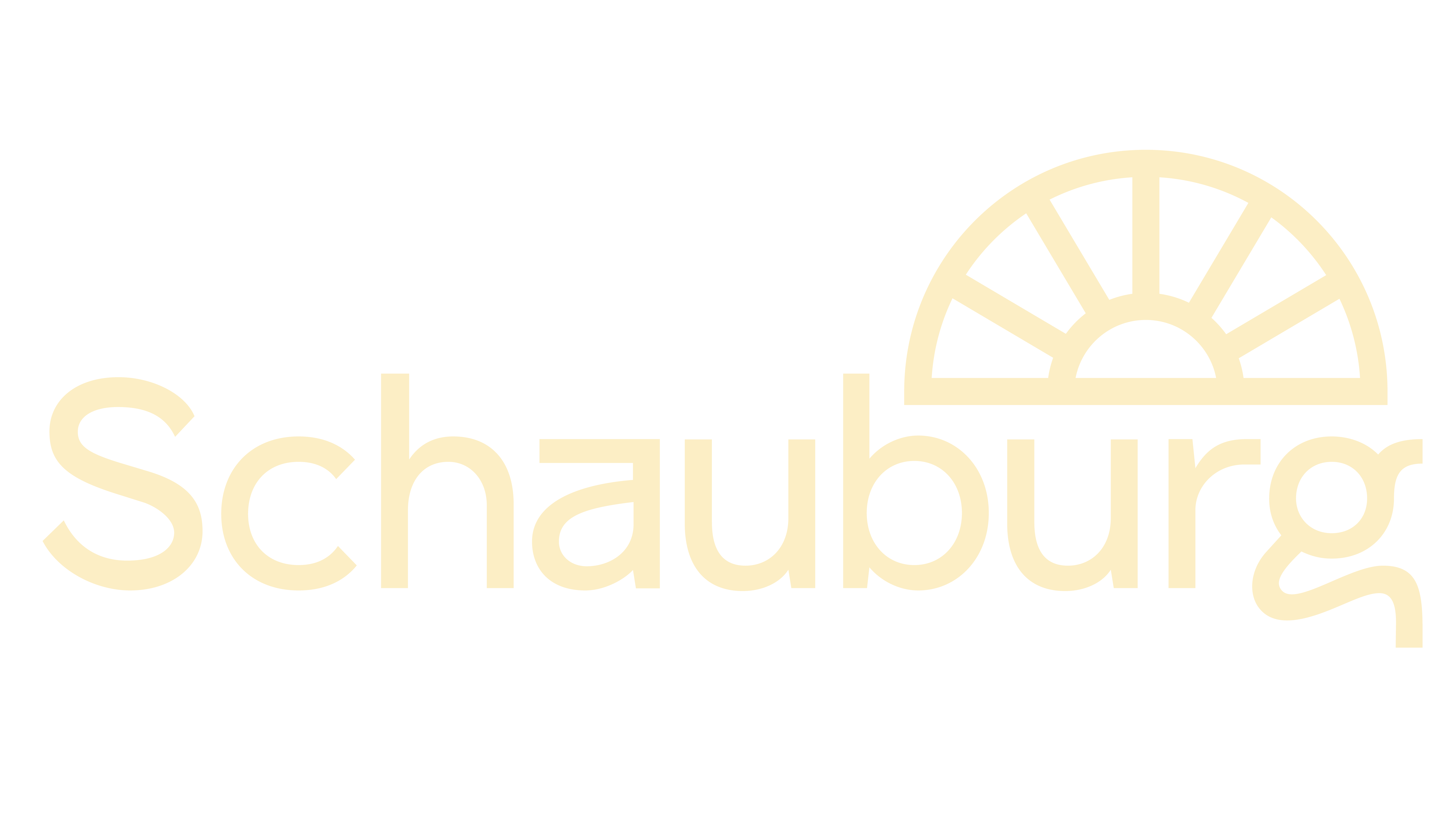 Logo Schauburg
